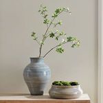 Product Image 6 for Moss Orbs, Set of 6 from Napa Home And Garden