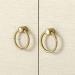 Close-up of two polished brass ring door pulls on light textured cabinet doors