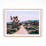 Product Image 3 for Joshua Tree Desert Landscape By Ts from Four Hands