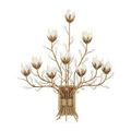 Product Image 1 for Star Magnolia Wall Sconce from Currey & Company