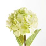 Product Image 3 for Hydrangea Stems , Set Of 6 from Napa Home And Garden