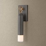 Product Image 3 for Osprey Wall Sconce from Troy Lighting