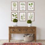 Product Image 3 for Boxwood Ball Topiary In Pot from Napa Home And Garden