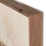 Close-up of the distressed natural wood grain and corner joint of the wooden frame around Figure 3 painting
