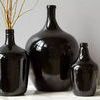 Product Image 1 for Black Demijohn from etúHOME