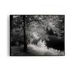 Framed photograph laying flat on white surface with black maple border visible