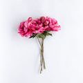 Product Image 2 for Fuchsia Peony Stem, Set of 3 from SN Warehouse