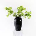 Product Image 4 for Phoebe Snowball Branches - 49", Bundle of 3 from Napa Home And Garden