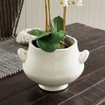 Close-up view showing smooth white ceramic and green leaves of orchid in cachepot on textured tabletop