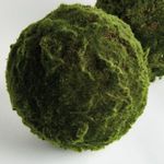 Product Image 3 for Moss Orbs, Set of 2 from Napa Home And Garden
