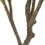 Product Image 5 for Faux Olive Tree from Four Hands