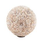 Product Image 1 for Starfish Shell Ball from Elk Home