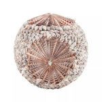 Product Image 1 for Sliced Shell Spiral Ball from Elk Home