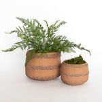 Product Image 1 for Natural Fern Drop-In from Napa Home And Garden