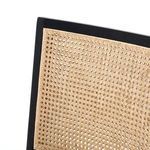 Product Image 22 for Antonia Cane Armless Dining Chair from Four Hands