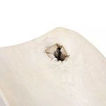 Product Image 2 for Emerson Xl Bowl from Four Hands