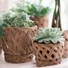 Product Image 3 for Wicker Plant Baskets, Set of 6 from etúHOME