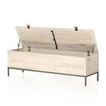 Product Image 3 for Trey Trunk from Four Hands