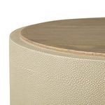 Product Image 9 for Crosby Light Cream Faux Shagreen Side Table  from Four Hands
