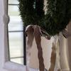 Product Image 5 for Arthur Green Cedar Wreath from Sullivans