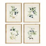 Product Image 1 for Olive Stems Study, Set Of 4 from Napa Home And Garden