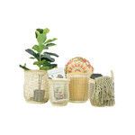 Product Image 1 for Allison Seagrass Basket Set from Creative Co-Op