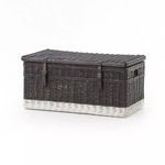 Product Image 4 for Black Washed Trunk from Four Hands