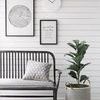 Product Image 3 for Potted Faux Fiddle Fig Leaf Plant from Creative Co-Op