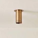 Product Image 10 for Berg Flush Mount from Troy Lighting