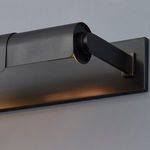 Product Image 4 for Oneonta 2-Light Picture Light - Distressed Bronze from Hudson Valley