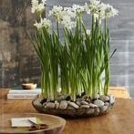 Product Image 2 for Juno Rectangular Bowl from Texxture