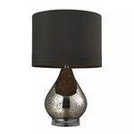Product Image 1 for Antique Mercury Glass Table Lamp In Gold from Elk Home