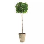 Product Image 2 for Faux Ficus Potted Topiary, 27" from Napa Home And Garden