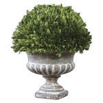 Product Image 1 for Uttermost Preserved Boxwood Garden Urn from Uttermost