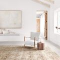 Taupe and gold rug placed in bright room with white walls, light wood beams, and minimalist furniture