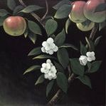 Painting of green apple tree branch with white flowers on a black background, unframed 49x49 inches