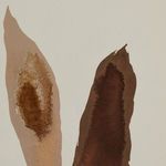 Close-up showing texture and watercolor gradients on the left side brown shapes
