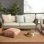 Close-up indoor view showing sofa and pillows on rug with natural decor accents