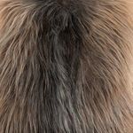 Product Image 1 for Angora Long Hair Pillow from Four Hands