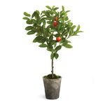Product Image 1 for Orange Topiary Potted from Napa Home And Garden