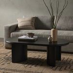 Product Image 13 for Paden Aged Black Acacia Oval Coffee Table from Four Hands