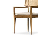 Product Image 11 for Britt Brown Cane Dining Armchair - Toasted Nettlewood from Four Hands
