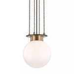 Product Image 1 for Gunther 1 Light Small Pendant from Hudson Valley