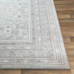 Product Image 1 for Chester Gray / Beige Rug from Surya