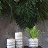 Product Image 2 for Waterfall Pot from Accent Decor