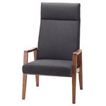 Product Image 1 for Jonah Occasional Chair from Nuevo