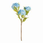 Product Image 1 for Hydrangea Branches , Set Of 2 from Napa Home And Garden