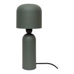 Echo Lamp in matte muted green iron with a rounded dome shade and a cylindrical base with smooth curves