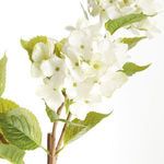 Product Image 3 for Hydrangea Branches , Set Of 2 from Napa Home And Garden
