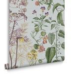 Product Image 3 for Edulis Wallpaper from Graham & Brown